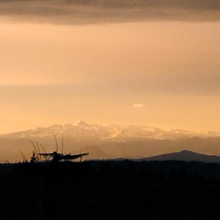 Appartement, Vue Sur Les Pyrenees Pouillon المظهر الخارجي الصورة