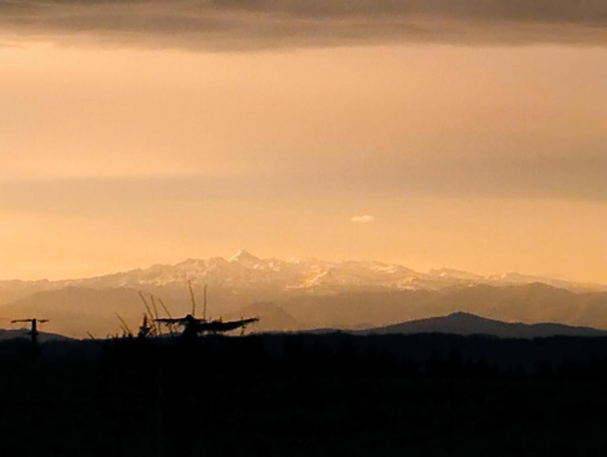 Appartement, Vue Sur Les Pyrenees Pouillon المظهر الخارجي الصورة